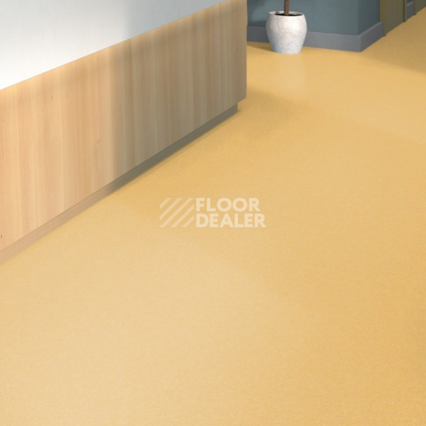 Tarkett iq Melodia 2633 фото 2 | FLOORDEALER
